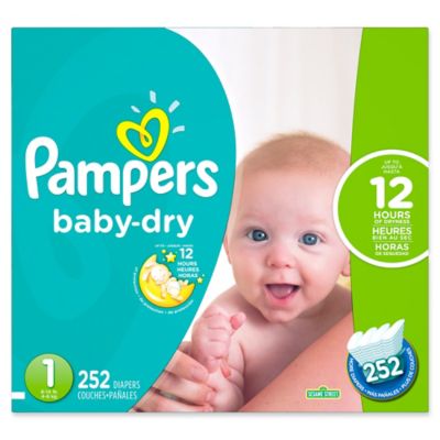 pamper baby dry 1