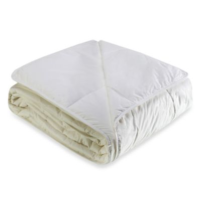 Cotton Dream All Cotton Full/Queen Blanket in Bright White