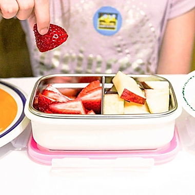 Innobaby 11-Ounce Double-Lined Stainless Bento Snack Box with Divider in Pink. View a larger version of this product image.