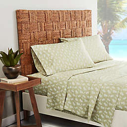 Tommy Bahama® Aloha Pineapple 200-Thread-Count Sheet Set in Sage