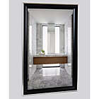Alternate image 1 for Alpine Art & Mirror Blackened Cypress and Silver 25.5-inch x 40.5-inch Rectangular Wall Mirror