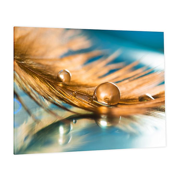 Feather Details Photographic Tempered Glass Wall Art Bed Bath And Beyond Canada - Tempered Glass Wall Art Canada