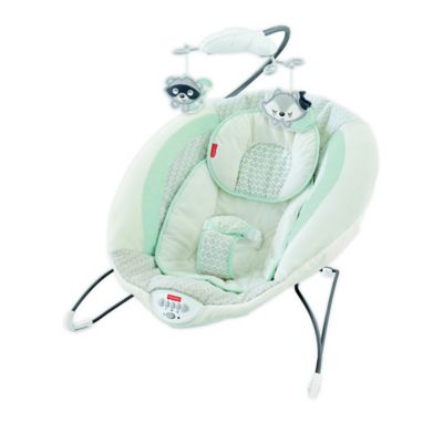 fisher price owl love you deluxe bouncer