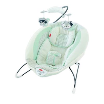 fisher price deluxe bouncer owl