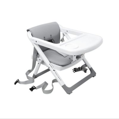 baby delight go with me portable chair