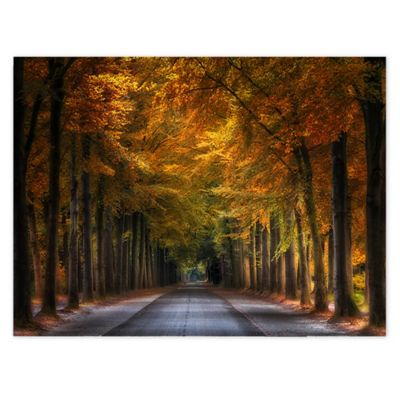Colossal Images Road of Wonders Wall Art