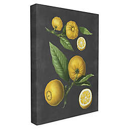 Botanical Drawing of Lemons Wrapped Canvas Wall Art