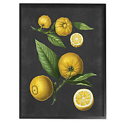 Botanical Drawing of Lemons Framed Wall Art in Black