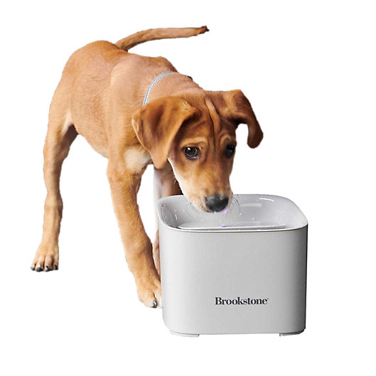 Alternate image 1 for Brookstone® Motion Sensor Pet Water Fountain in Natural