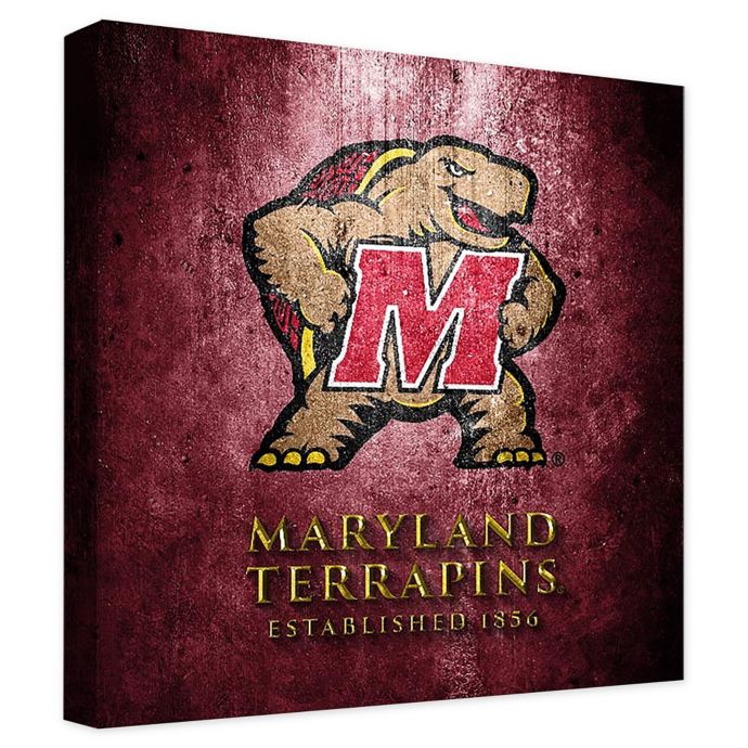 University Of Maryland Framed Canvas Museum Design Wall Art Bed Bath Beyond