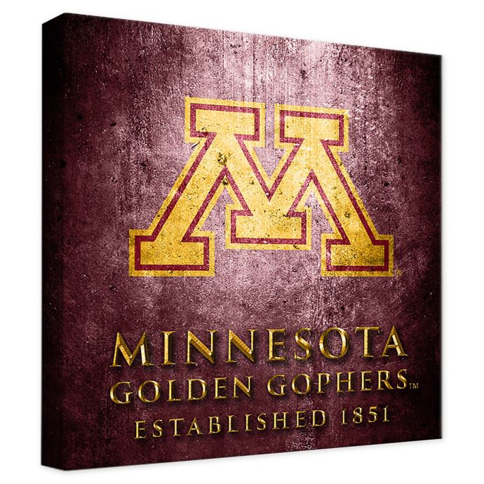 University Of Minnesota Framed Canvas Museum Design Wall Art Bed Bath Beyond