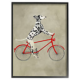 Dalmatian Riding Red Bicycle Framed Canvas Wall Art