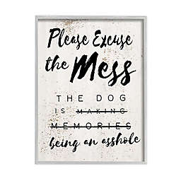 "Excuse Mess" 11-Inch x 14-Inch Framed Wall Art in White