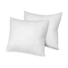 Alternate image 0 for Therapedic&reg; TheraLOFT&reg; 2-Pack Euro Square Pillows