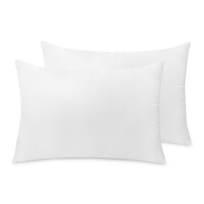 allergy luxe organic pillow