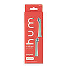 Alternate image 2 for Hum Electric 2-Pack Toothbrush Replacement in Teal