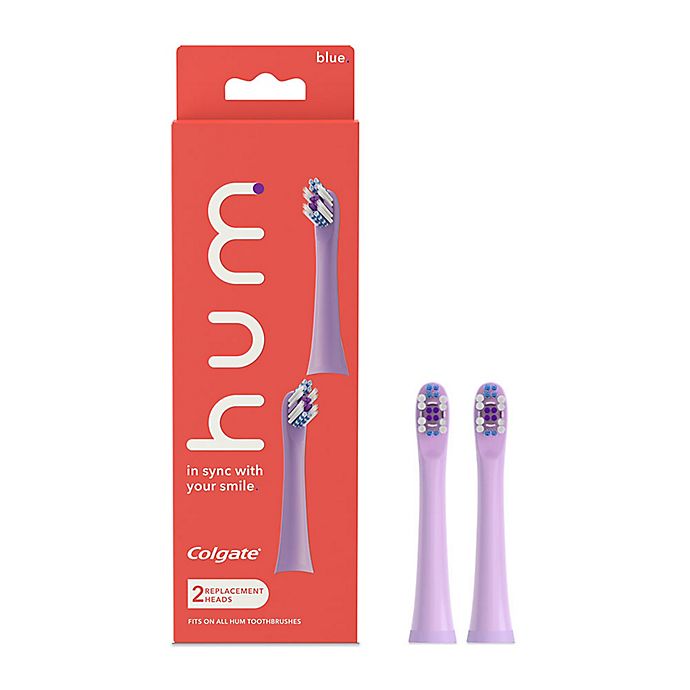 Hum Electric 2-Pack Toothbrush Replacement in Purple | Bed Bath & Beyond