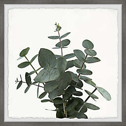 Marmont Hill Green Eucalyptus Leaves 32-Inch Squared Framed Wall Art