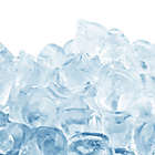 Alternate image 8 for 24 Cube Ice Genie&trade; Ice Maker in Blue