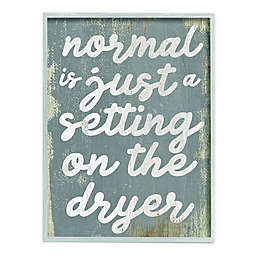 Normal Setting Laundry Framed Canvas Wall Art