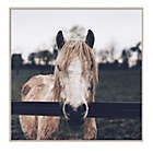 Alternate image 0 for Neutral Horse Photograph 30-Inch Square Framed Wall Art