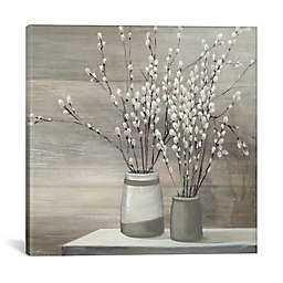 iCanvas Pussy Willow Canvas Wall Art
