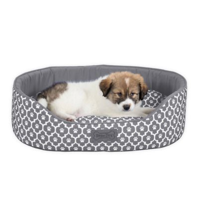 bed bath beyond dog bed