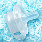 Alternate image 1 for nippii&reg; 0-12M All-in-1 Pacifier and Teether