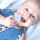 Alternate image 11 for nippii&reg; 0-12M All-in-1 Pacifier and Teether