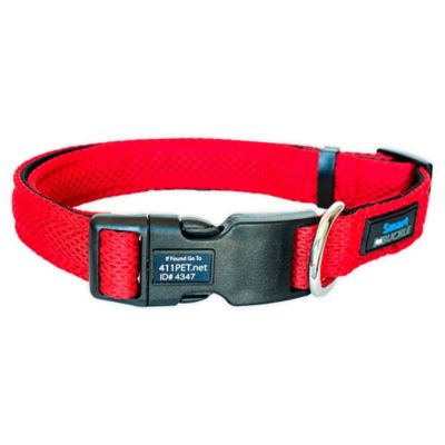 smart buckle dog collar