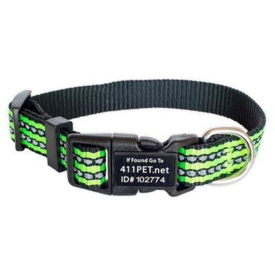 smart buckle dog collar