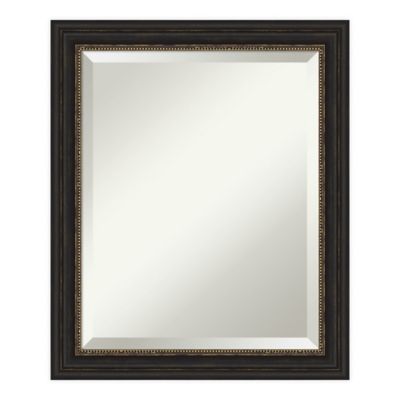 Amanti Art Accent 20-Inch x 24-Inch Bathroom Vanity Mirror in Bronze