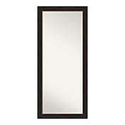 Amanti Art Accent 29-Inch x 65-Inch Framed Full Length Floor/Leaner Mirror in Bronze