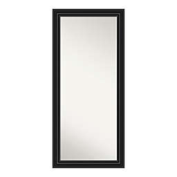 Amanti Art Colonial 30-Inch x 66-Inch Framed Full Length Floor/Leaner Mirror in Black