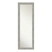 Amanti Art Dove Greywash Framed On the Door Mirror in Grey
