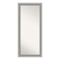 Floor/Leaner Mirror, Elegant 29-Inch x 65-Inch Brushed Pewter