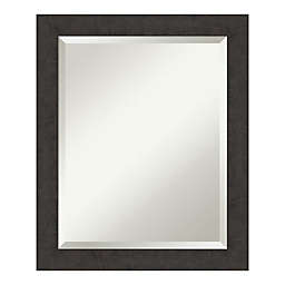 Amanti Art Rustic Plank Espresso 19-Inch x 23-Inch Narrow Framed Bathroom Vanity Mirror in Brown