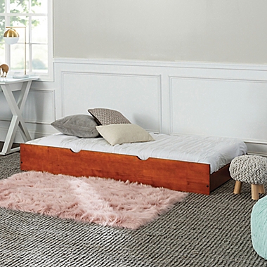 Forest Gate&trade; Charlotte Solid Wood Twin Trundle Bed. View a larger version of this product image.