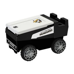 remote control zamboni cooler