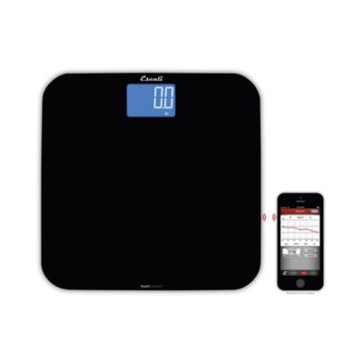 hatch baby scale canada