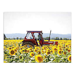 Painted Sunflower Tractor 24-Inch x 18-Inch Canvas