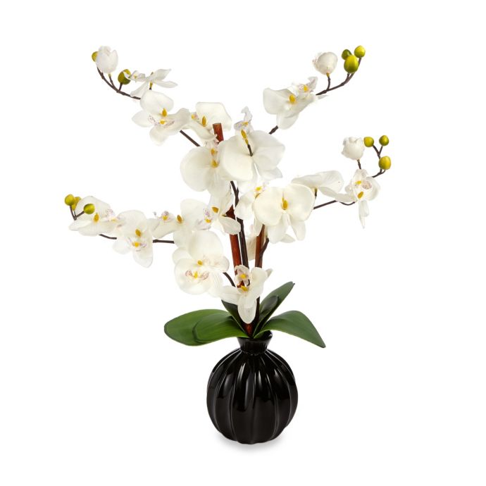 Artificial Orchid in Ceramic Pot Bed Bath and Beyond Canada