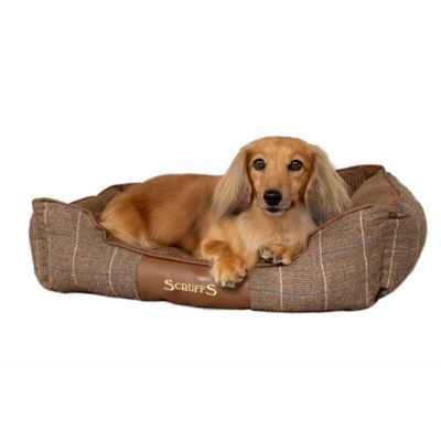 scruffs windsor dog bed