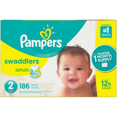5 months baby pampers size