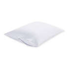 Alternate image 0 for Claritin Cotton Standard/Queen Pillow Protector