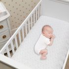 Alternate image 1 for Lambs &amp; Ivy&reg; Signature Swan Princess Star Fitted Crib Sheet in Pink/White/Grey