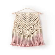Levtex Baby Macrame Ombre Wall Decor in Pink