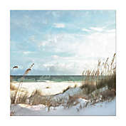 Painted Sand Dunes 30-Inch x 30-Inch Canvas Wall Art