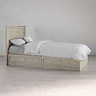 Alternate image 1 for Little Seeds Levi Twin Bed with Storage &amp; Headboard in Walnut