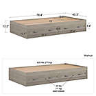 Alternate image 2 for Little Seeds Levi Twin Bed with Storage &amp; Headboard in Walnut